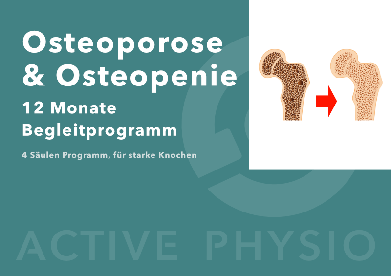 Osteoporose 12 Monate Begleitprogramm